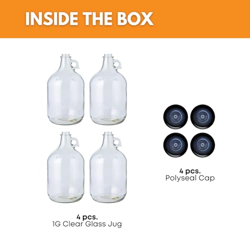 Fastrack 4-Pack 1 Gallon Glass Jug Set w/ Polyseal