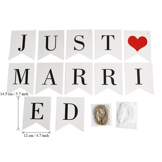 Just Married Banner Wedding Bunting Photo Booth Props