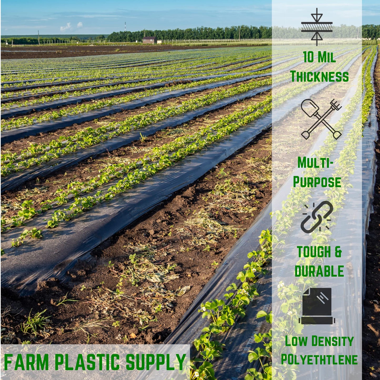 Farm Plastic Supply - Black Plastic Sheeting