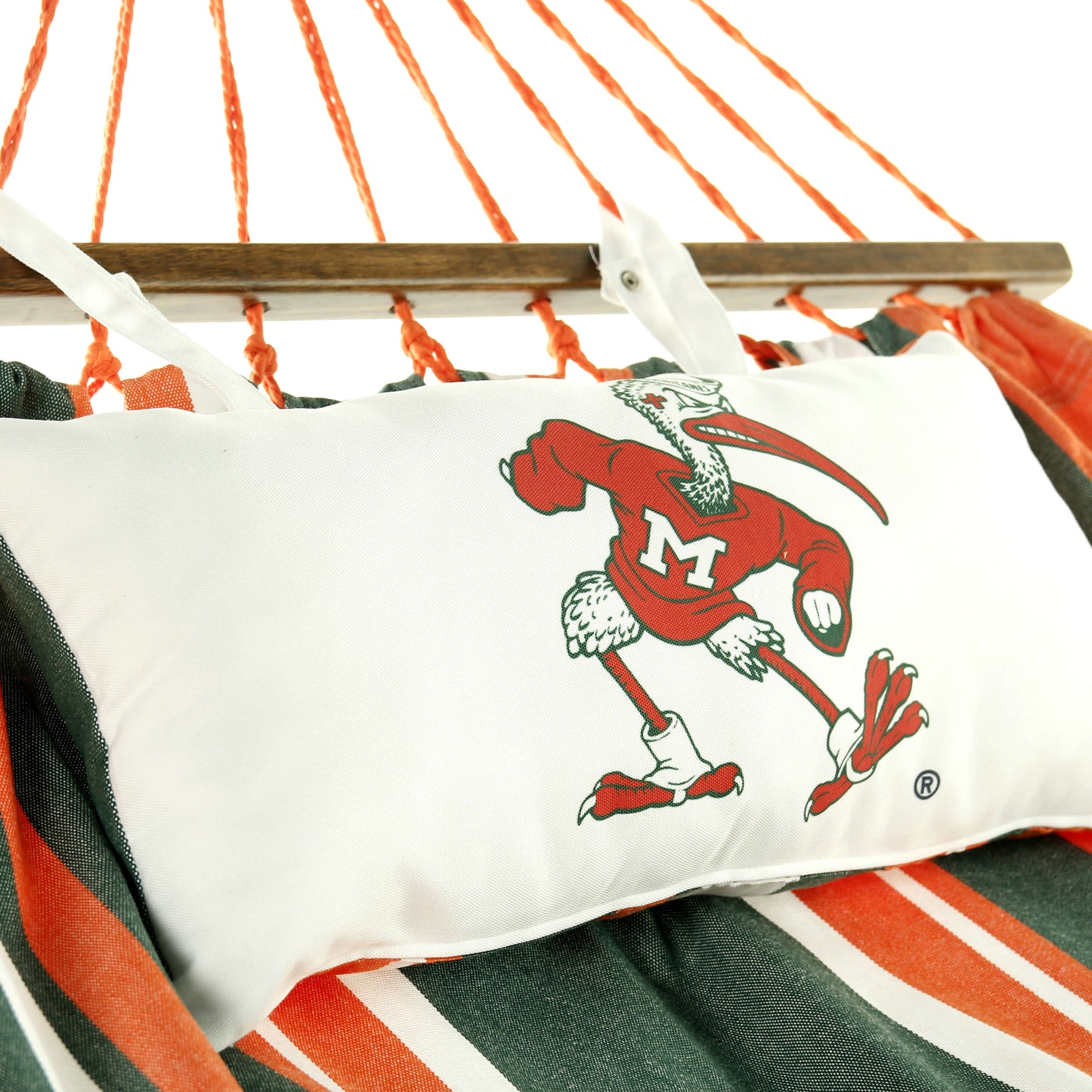 University of Miami Hurricanes Hammock | IBIS