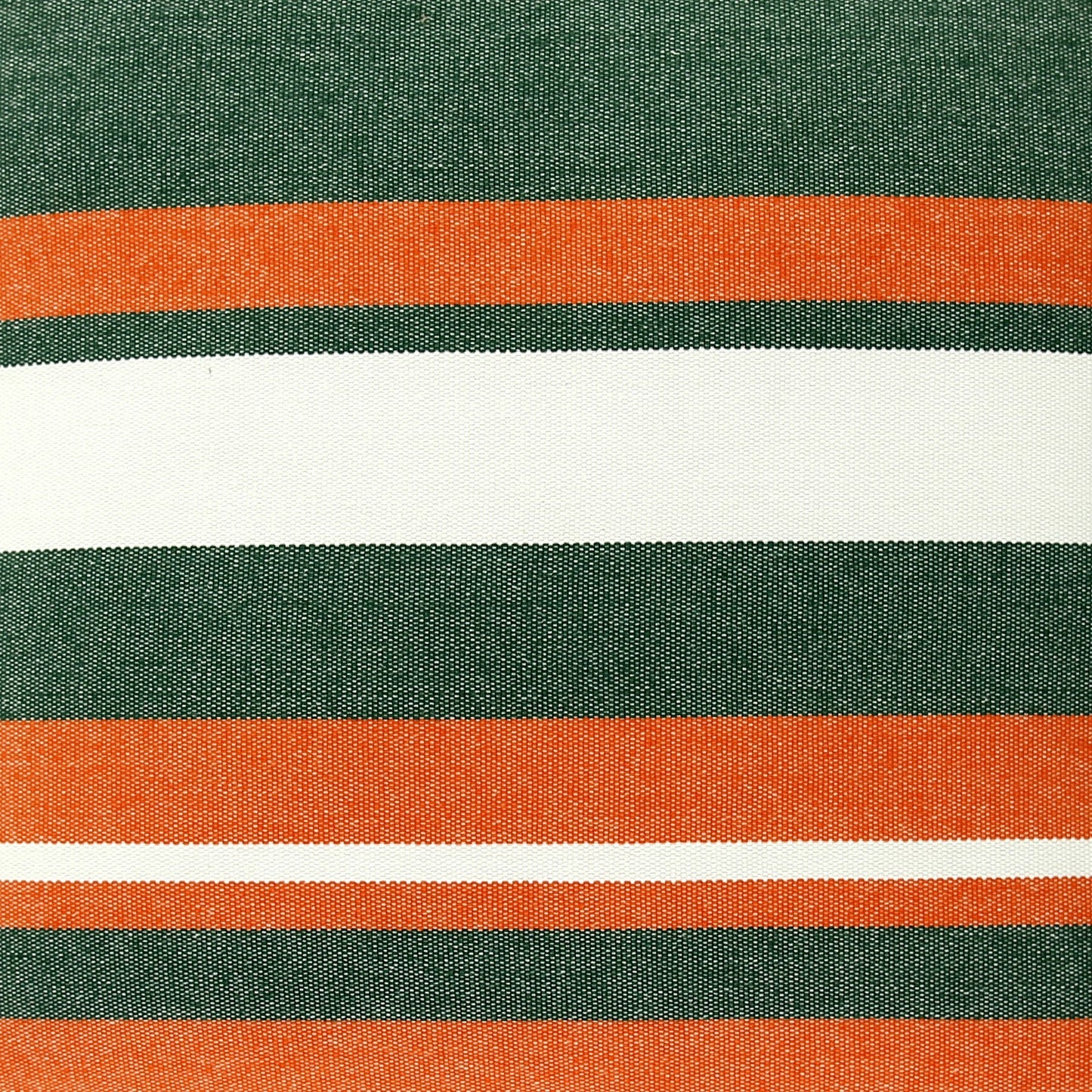 University of Miami Hurricanes Hammock | IBIS