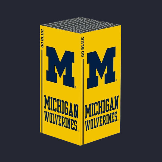 Michigan Wolverines Xbox X/S VarsityWrapz