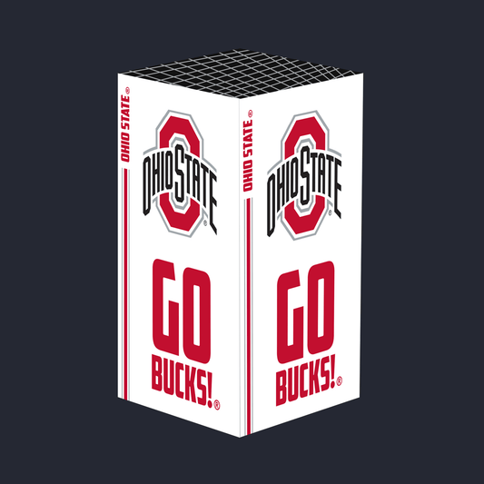 Ohio State Xbox X/S VarsityWrapz
