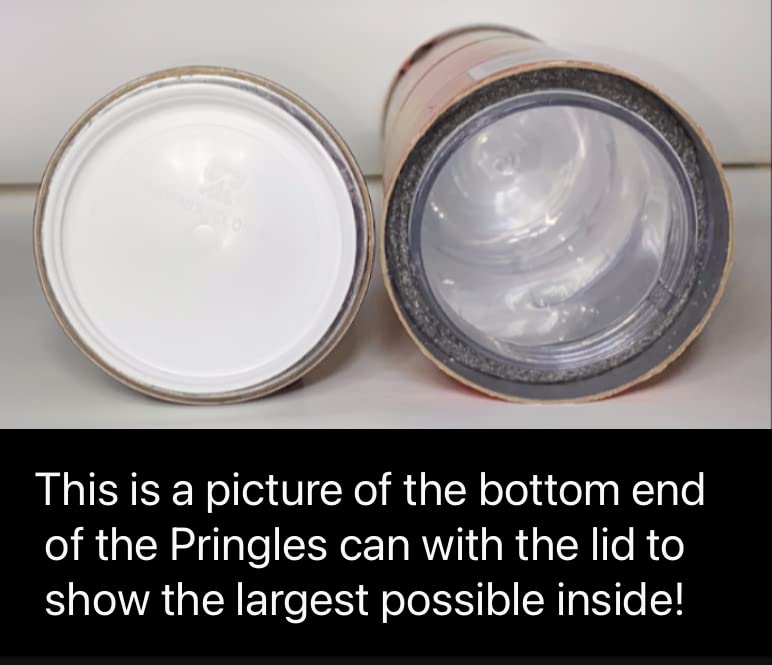 Potato Chip Can Safe Stash