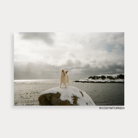 Fujifilm Fujifilm QuickSnap Flash 400 One Time Use 35mm 10-Pack