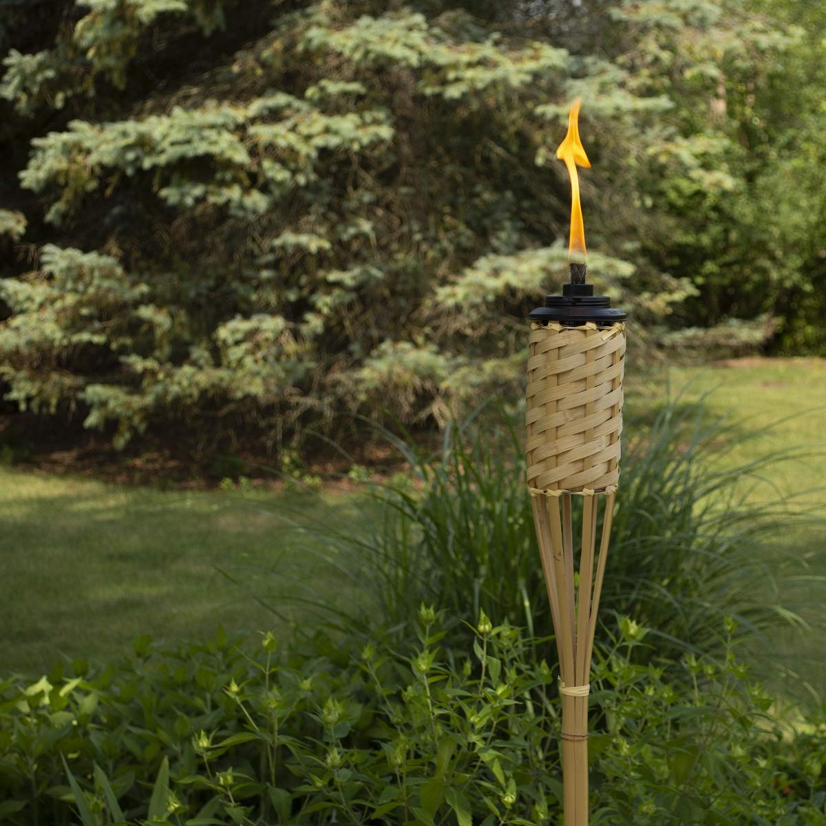 TIKI Bamboo Tiki Torches 12-Pack